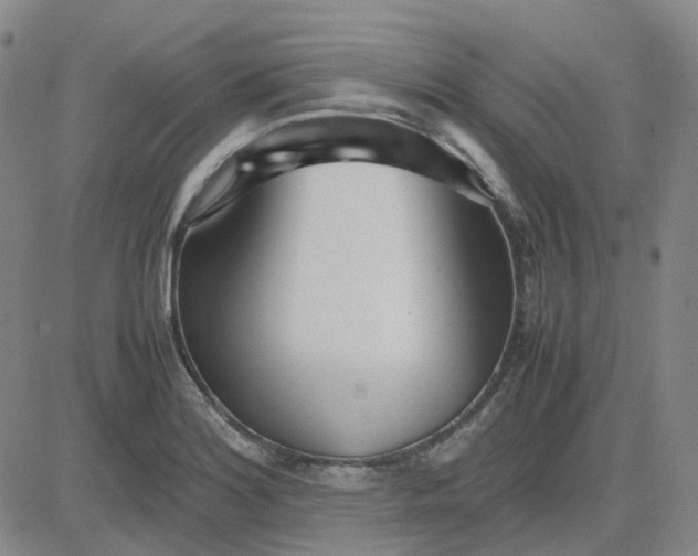 X0000083601180200702231739