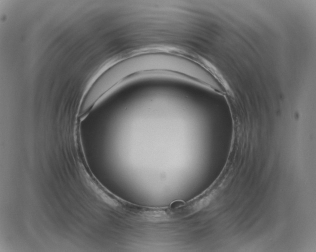 X0000083601186200702231738