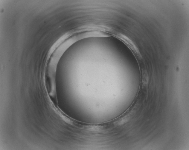 X0000083601188200702231738