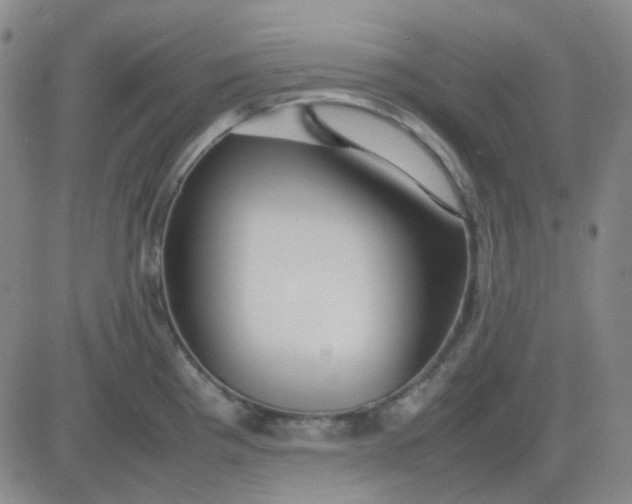 X0000083601193200702231738