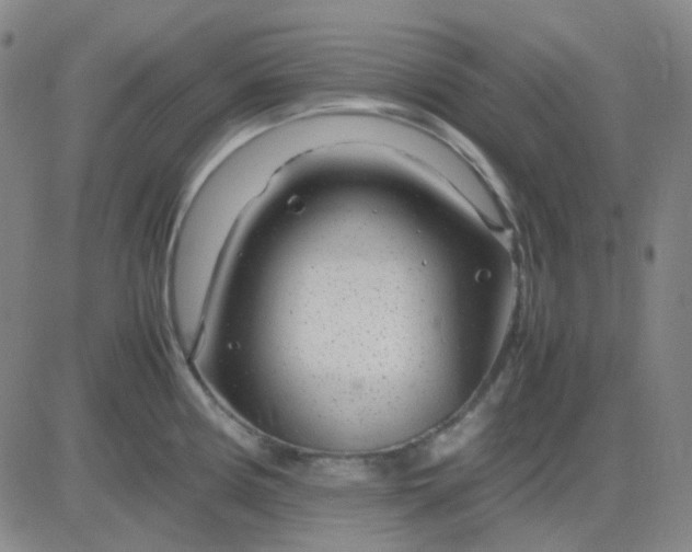 X0000083601194200702231738