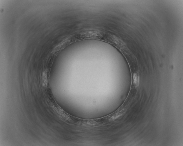 X0000083601203200702231737