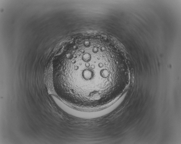 X0000083601204200702231738