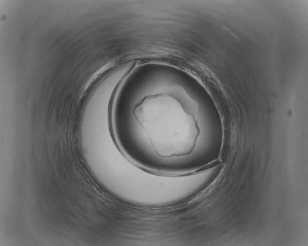 X0000083601210200702231738
