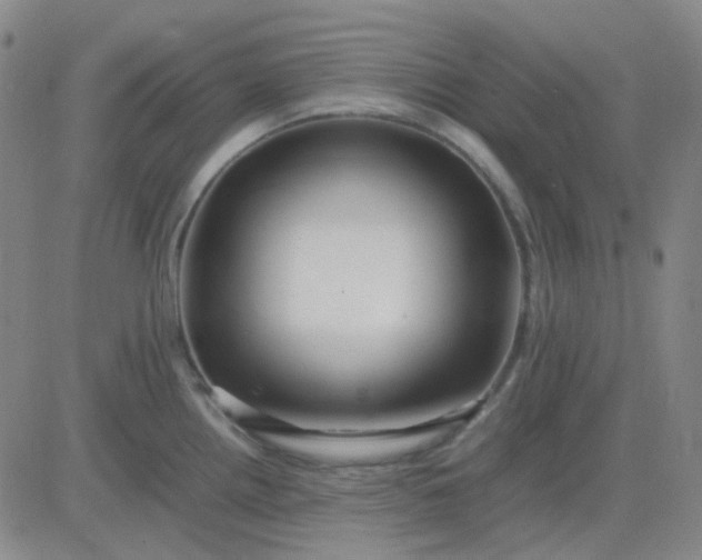 X0000083601242200702231738