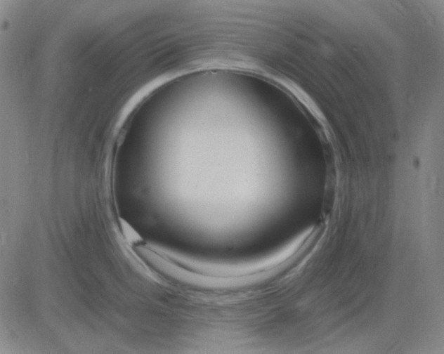 X0000083601246200702231738