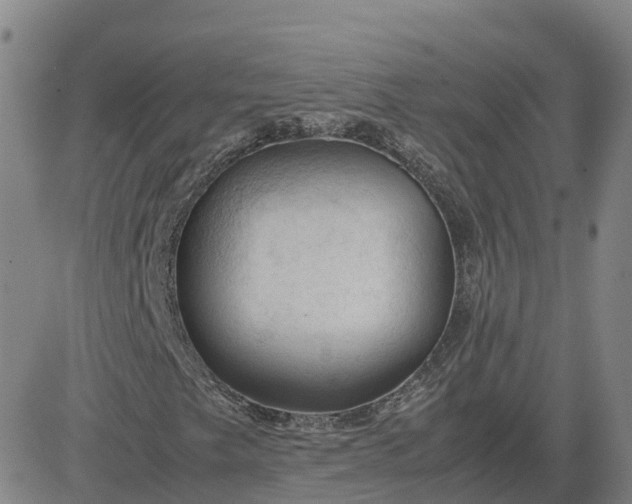 X0000083601249200702231737