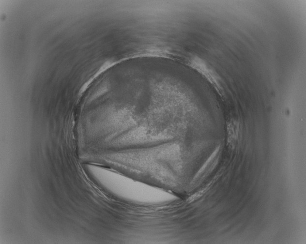 X0000083601260200702231737