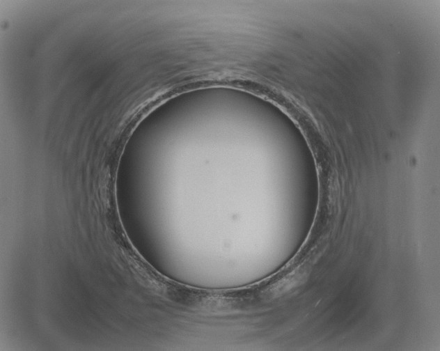 X0000083601265200702231737