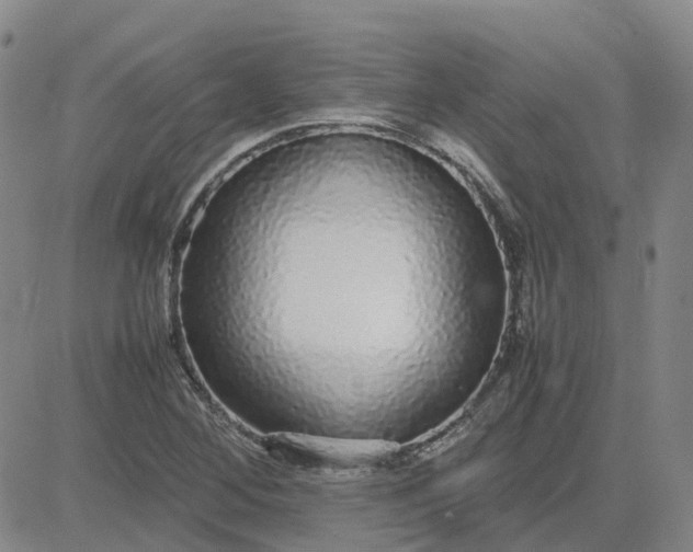 X0000083601268200702231737