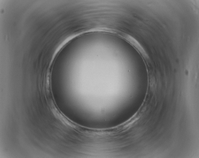 X0000083601292200702231737