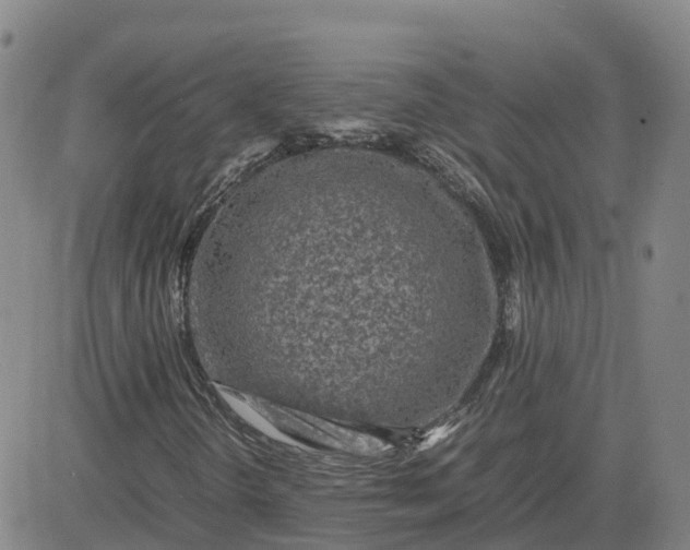 X0000083601298200702231736
