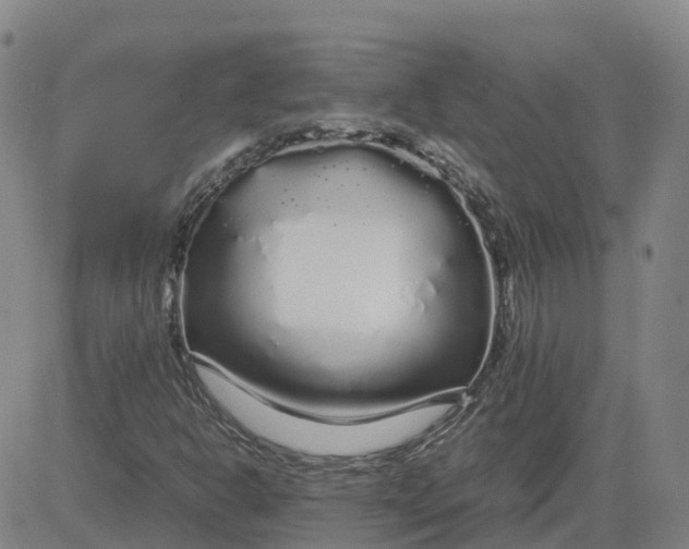 X0000083601302200702231736