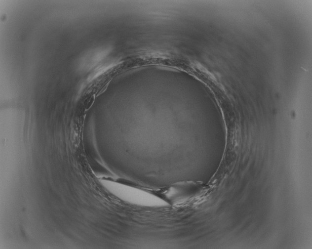 X0000083601303200702231736
