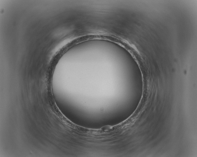 X0000083601311200702231736