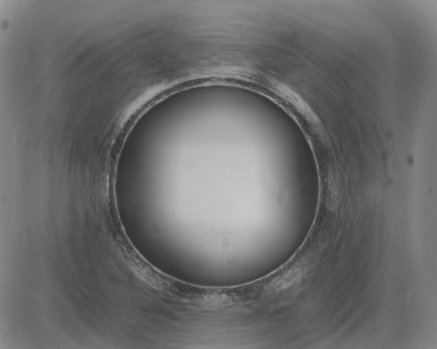 X0000083601316200702231736