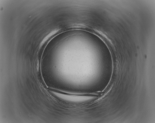 X0000083601317200702231736