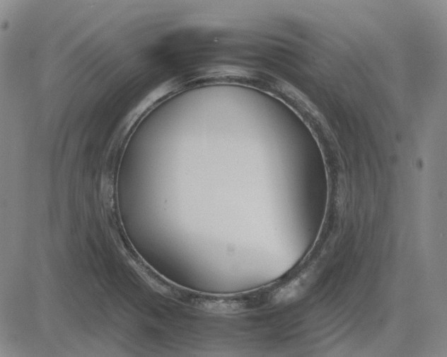 X0000083601321200702231736