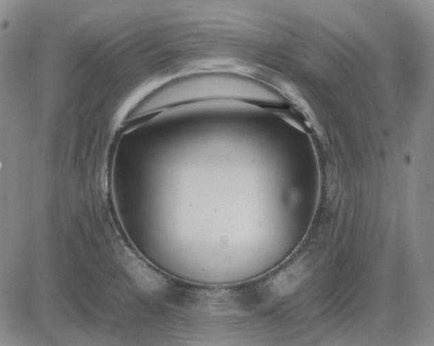 X0000083601328200702231736