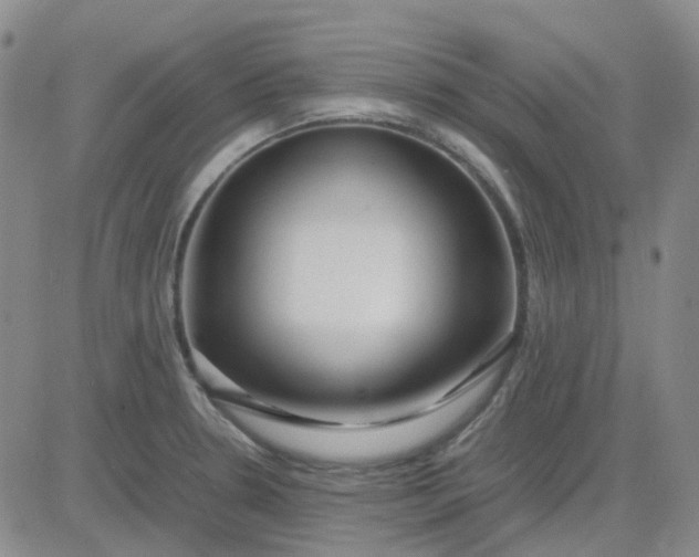X0000083601330200702231736