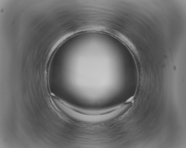 X0000083601332200702231736
