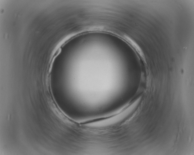 X0000083601340200702231737