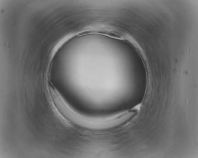 X0000083601344200702231737