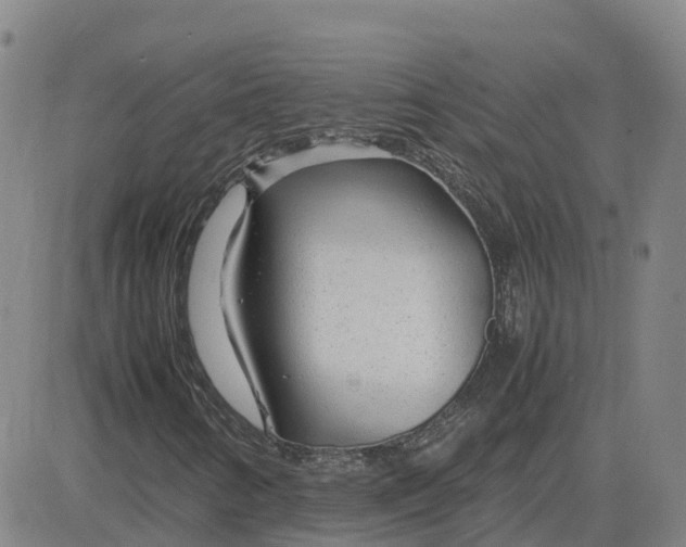 X0000083601346200702231736