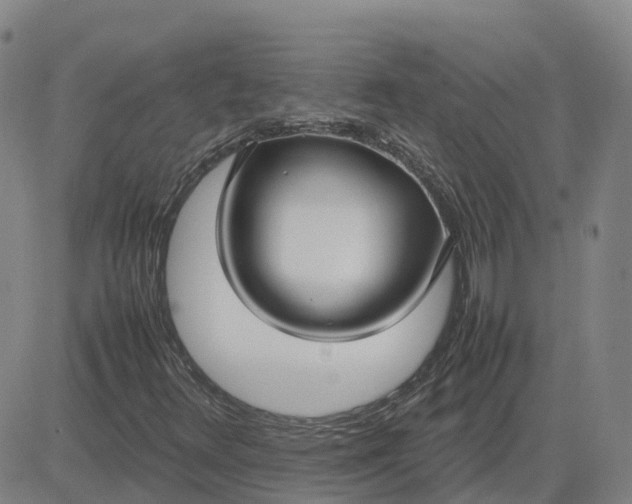 X0000083601348200702231736