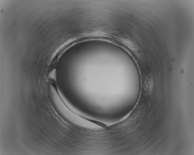 X0000083601356200702231736