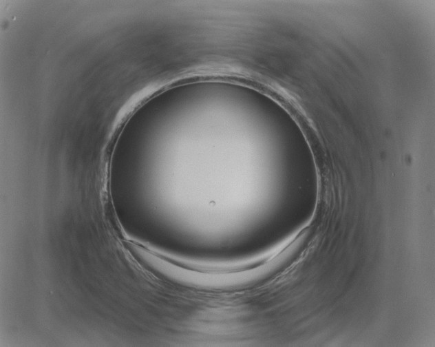 X0000083601366200702231736
