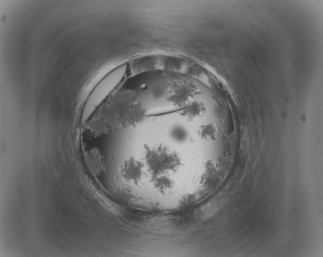 X0000083601367200702231735