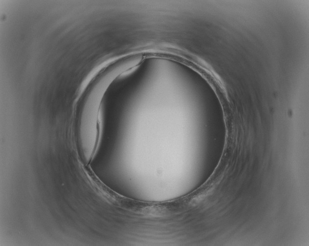 X0000083601368200702231735
