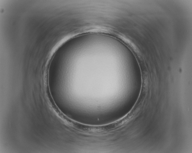X0000083601375200702231735