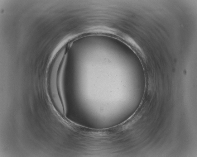 X0000083601376200702231735