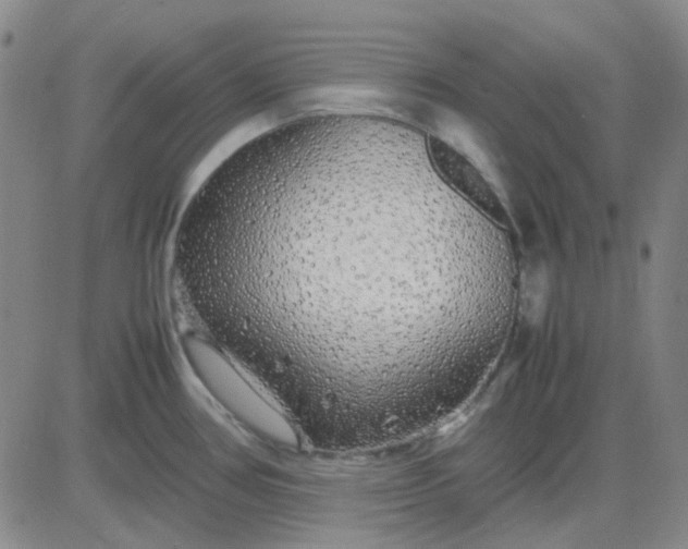 X0000083601386200702231735