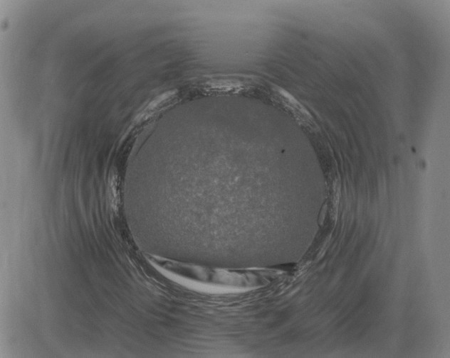 X0000083601394200702231734