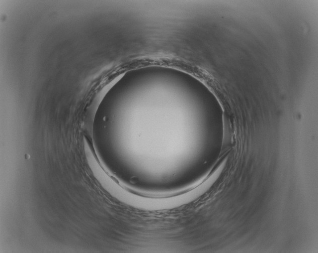 X0000083601398200702231734