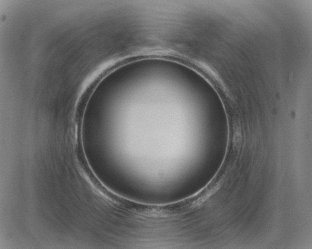 X0000083601414200702231735