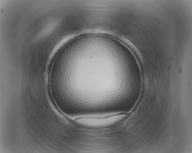 X0000083601416200702231735
