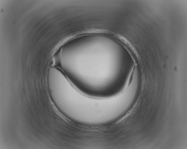 X0000083601417200702231735