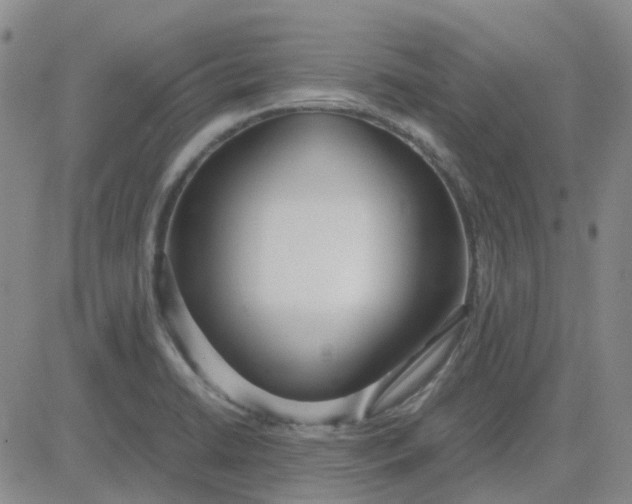 X0000083601422200702231735