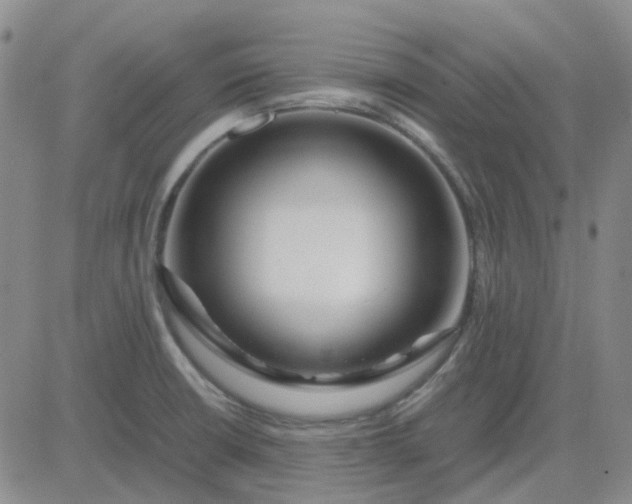 X0000083601426200702231735