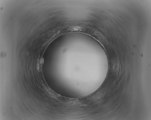 X0000083601442200702231734