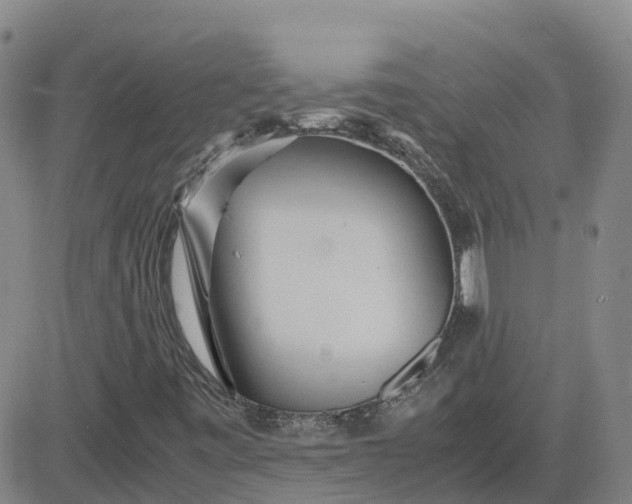 X0000083601443200702231734