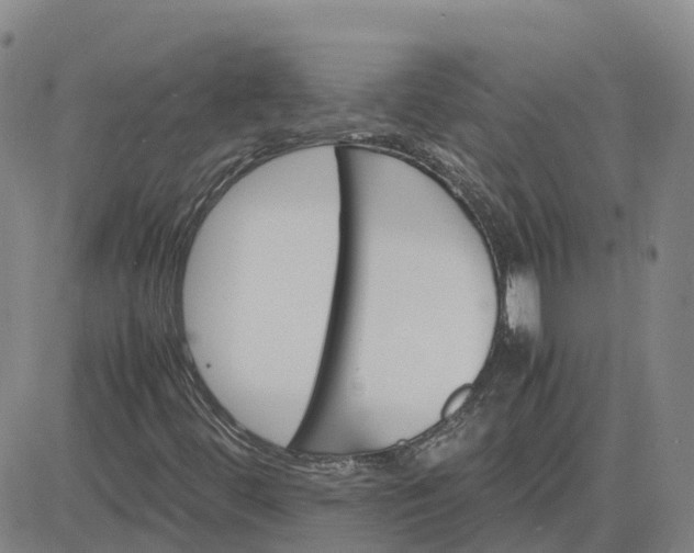 X0000083601444200702231734
