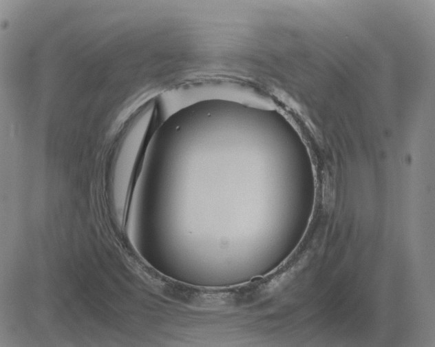 X0000083601453200702231734