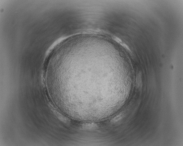 X0000083601454200702231734