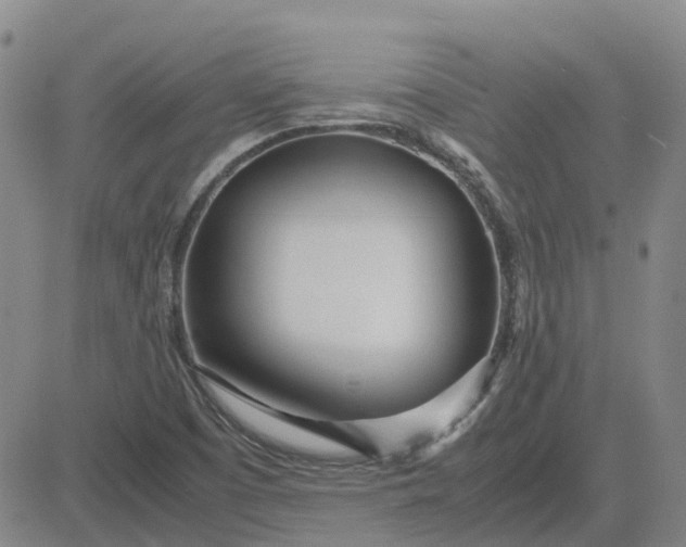 X0000083601457200702231734