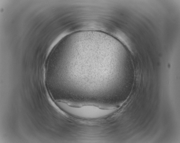 X0000083601476200702231734